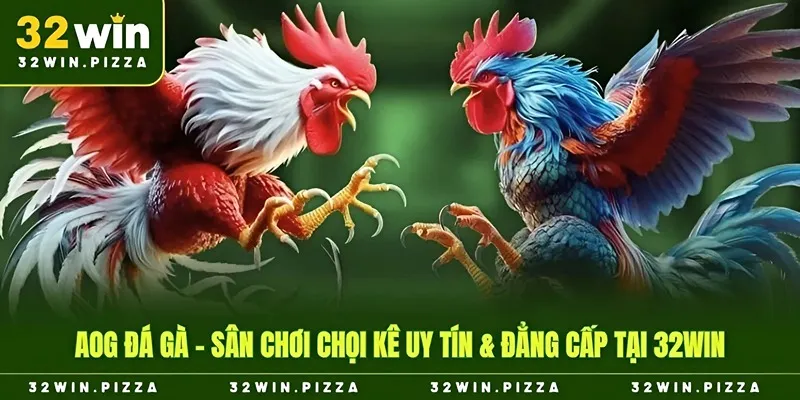 AOG đá gà