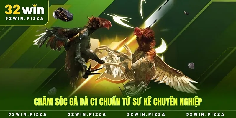 Chăm sóc gà đá c1 chuẩn từ sư kê chuyên nghiệp