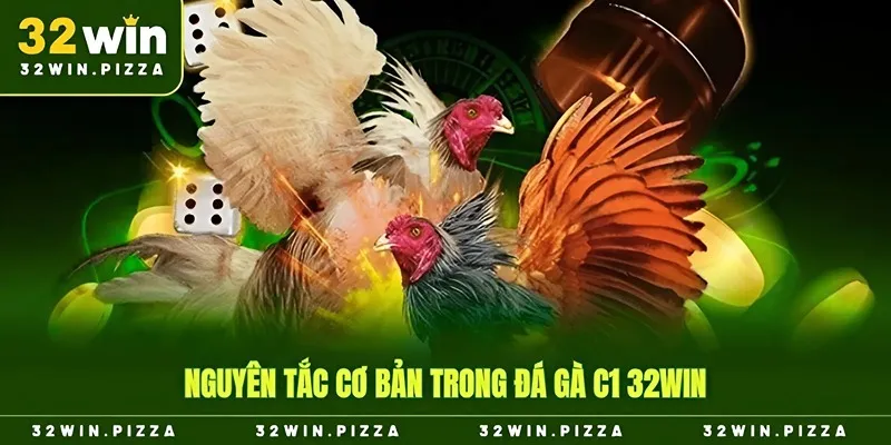 Nguyên tắc cơ bản trong đá gà C1 32win