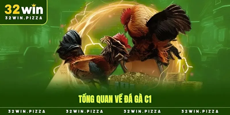 Tổng quan về đá gà C1