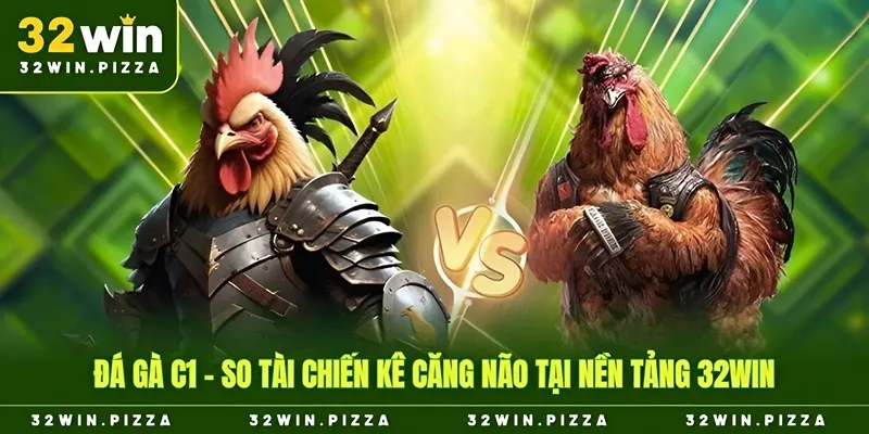 đá gà c1