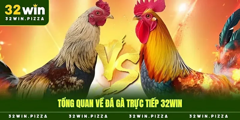 Tổng quan về đá gà trực tiếp 32win