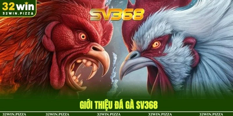 Khái quát sảnh đá gà SV368