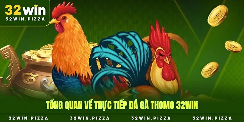 Tổng quan về trực tiếp đá gà thomo 32win