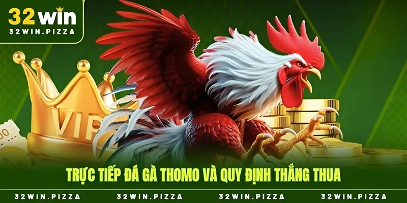 Trực tiếp đá gà Thomo và quy định thắng thua