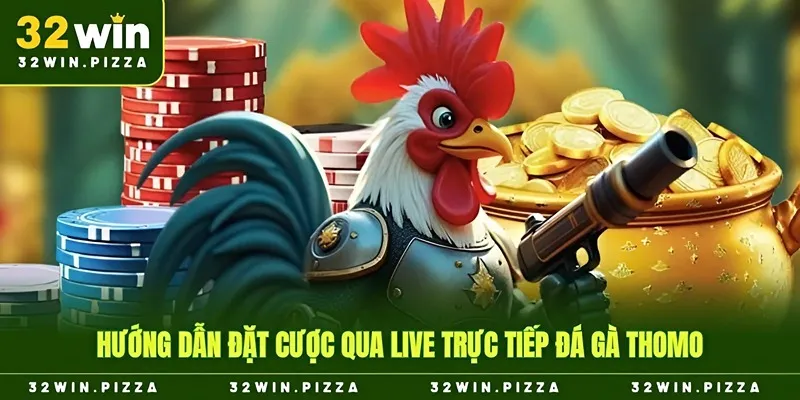 Hướng dẫn đặt cược qua live trực tiếp đá gà thomo