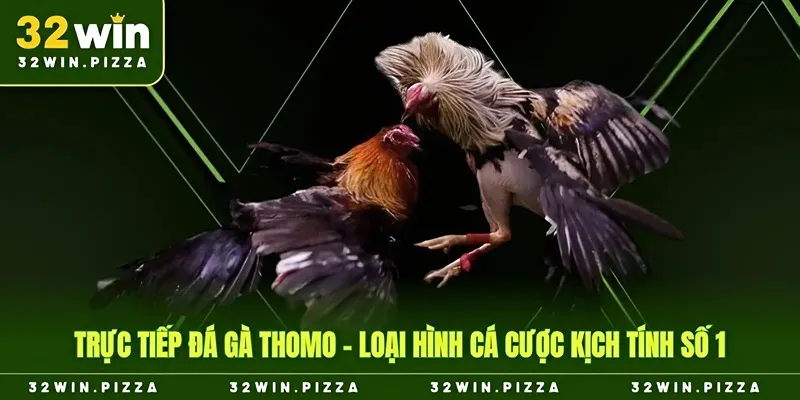 ảnh đại diện trực tiếp đá gà thomo